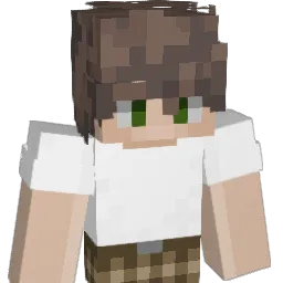 Whytee45 Minecraft avatar bust