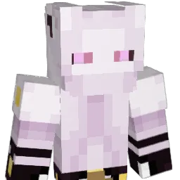 Whyter8 Minecraft avatar bust