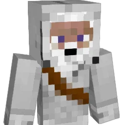WiLLER__93 Minecraft avatar bust
