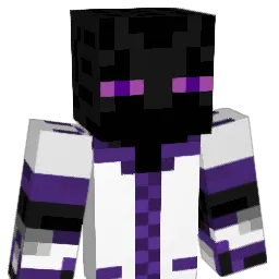 WiMuDi Minecraft avatar bust
