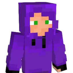 WiNt3r03 Minecraft avatar bust
