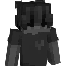 WichtigesWlan Minecraft avatar bust