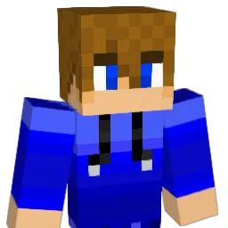 WiderThunder295 Minecraft avatar bust