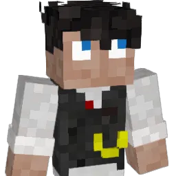 Wider_77 Minecraft avatar bust