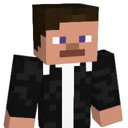 Widmor_ Minecraft avatar bust