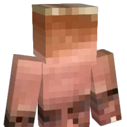 Wiggywigwog Minecraft avatar bust