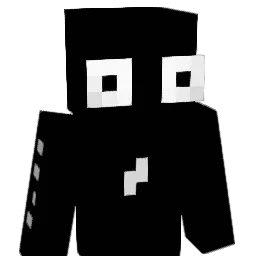 WiiDox Minecraft avatar bust