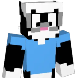 Wiiconnect24