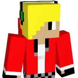 Wiig21 Minecraft avatar bust