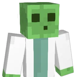 Wiinters_ Minecraft avatar bust