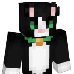 Wikicraft05's Minecraft skin