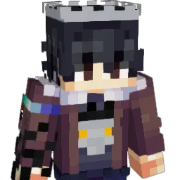 Wikininja10