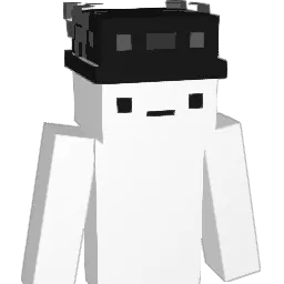WikisSsZ's Minecraft skin
