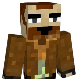 Wildcard242 Minecraft avatar bust