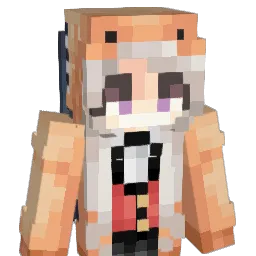 Wildlight07 Minecraft avatar bust