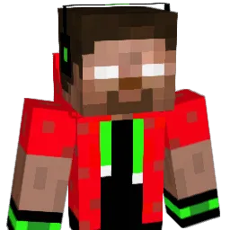 Wildone13 Minecraft avatar bust