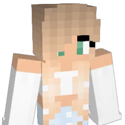 Wildwood654 Minecraft avatar bust