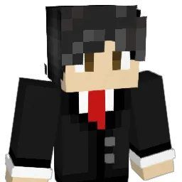 Wili1719 Minecraft avatar bust