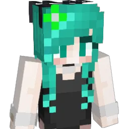 Will495 Minecraft avatar bust