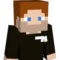 WillD23 Minecraft avatar bust