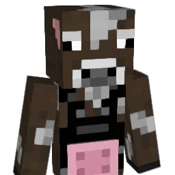 Will_iam1 Minecraft avatar bust