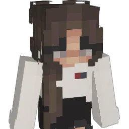 Willem253 Minecraft avatar bust