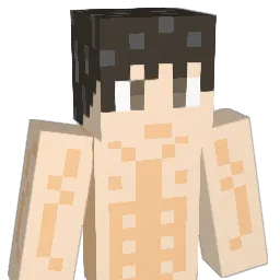 Willou54000 Minecraft avatar bust
