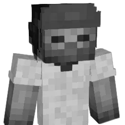Willtoro11 Minecraft avatar bust