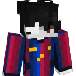 Willxs_ Minecraft avatar bust