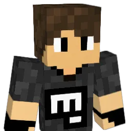 Willzin Minecraft avatar bust