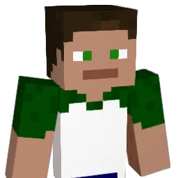 WilmarGames Minecraft avatar bust