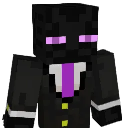 Wilmer001 Minecraft avatar bust