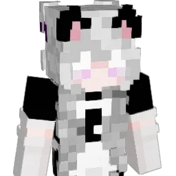 WinIron_15 Minecraft avatar bust