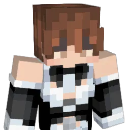 WindowBlack_ Minecraft avatar bust