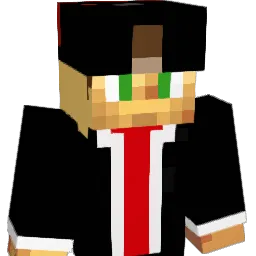 WingitAri's Minecraft skin
