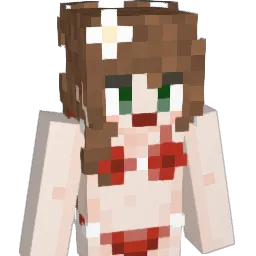 WinnerPirates1 Minecraft avatar bust