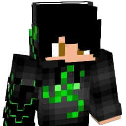 Winner_243 Minecraft avatar bust