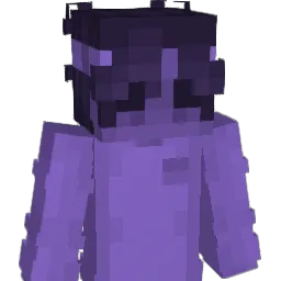 Wintaa_ Minecraft avatar bust
