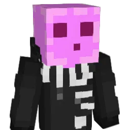 Winter11708 Minecraft avatar bust