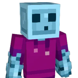 Winter859 Minecraft avatar bust