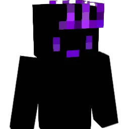 Minecraft-Avatar von WinterToto: Büste