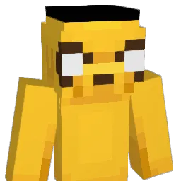 Wioll21 Minecraft avatar bust