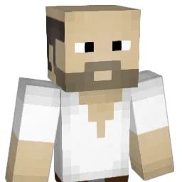 WiperBR_ Minecraft avatar bust