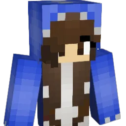 WiseBirdy93 Minecraft avatar bust