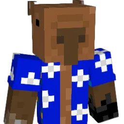 WiseCapyig Minecraft avatar bust
