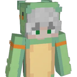 WiseOldTurtle's Minecraft skin