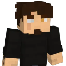 Wisor_ Minecraft avatar bust