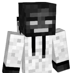 WitherKing22 Minecraft avatar bust