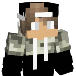 WitherSkelly224 Minecraft avatar bust