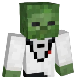 WizardCat890 Minecraft avatar bust
